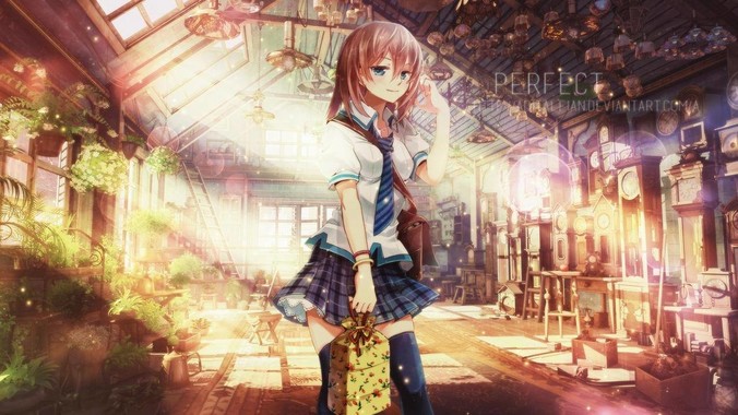 如果中国人在非洲承包土地，雇佣中国人大规模种粮食，可行吗？